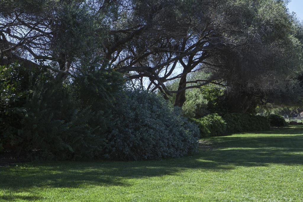 Dialiskari Villas Μαραθόπολη Εξωτερικό φωτογραφία