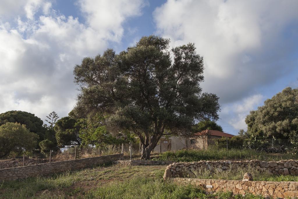 Dialiskari Villas Μαραθόπολη Εξωτερικό φωτογραφία
